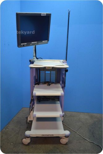 OLYMPUS WM-NP1 ENDOSCOPY CART WITH OLYMPUS OEV191 LCD MONITOR @