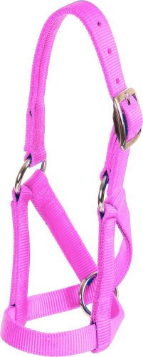 Mustang Brand Goat Halter Nylon Flat 3/4&#034; - Large - Pink