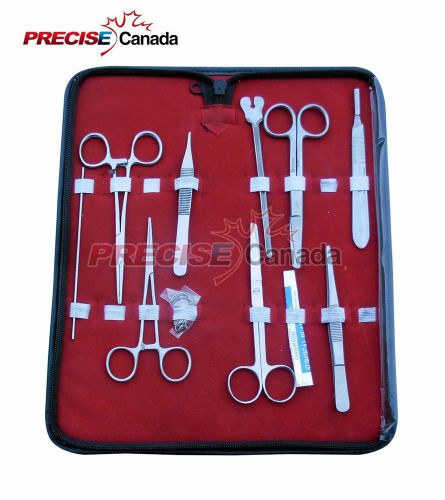 LOT OF 11 PIECES MINOR SURGERY/DENTAL KIT, SK-011