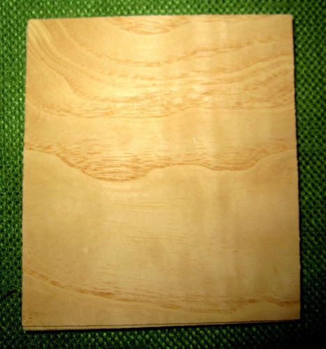 10 leafs of White Ash @ 3-7/8 x 3-1/8 wood Veneer  #v1153