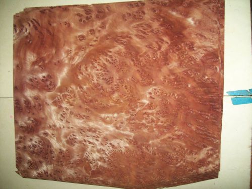 redwood burl veneer 12 @ 11 x 14 [2651