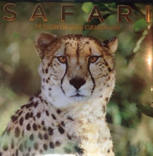 16 Month Wall Calendar ~SAFARI~2015 By -International Greetings- NEW