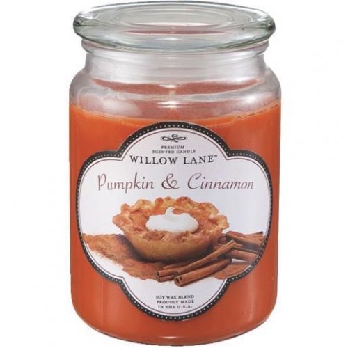 PUMPKN/CINAMN JAR CANDLE 1646951