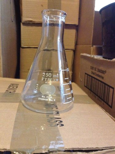 250 ml Pyrex Erlenmeyer Flask