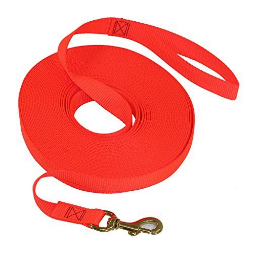 SGT KNOTS 1 inch Nylon Dog Training Long Line - 25 or 50 feet - Black or Blaze