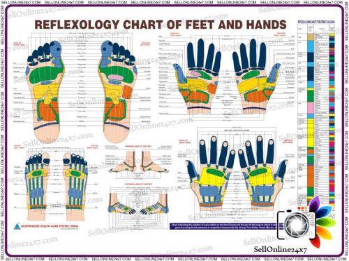 Reflexology New Chart In English Quick Study Academics Teaching Educational