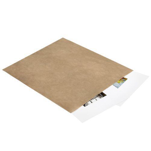 Aviditi BGM105K Flat Merchandise Bag, 12&#034; Length x 15&#034; Width, Kraft... 117389