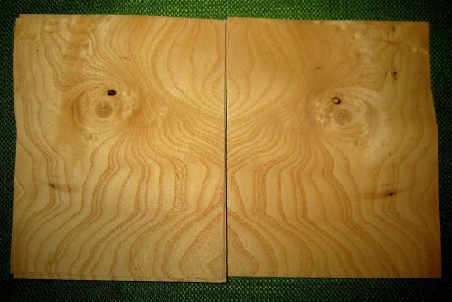 11 leafs of Curly Ash @ 5-7/8 x 5 wood Veneer  #v1158