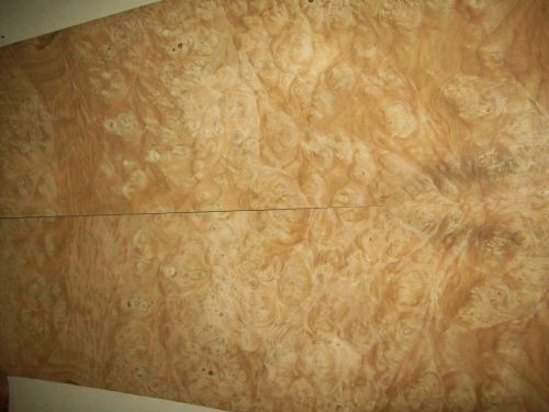 chestnut burl veneer 8 @ 7 x 24 [1343