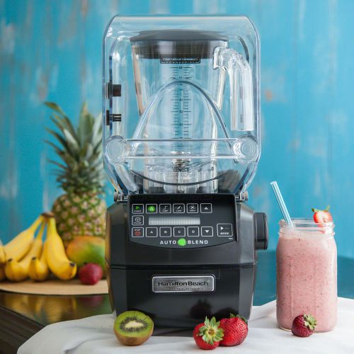 Hamilton beach hbh850 summit high performance bar blender for sale