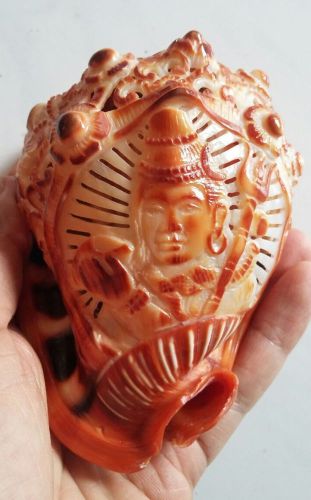 Carved sea shell shiva god hand carved c rufa red helmet cameo shell for sale