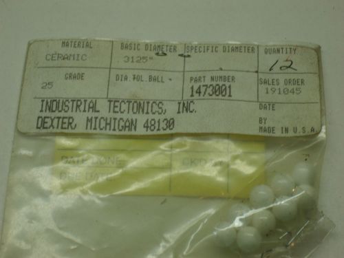 INDUSTRIAL TECTONICS CERAMIC BALLS 0.3125 GRADE 25 NEW #6890