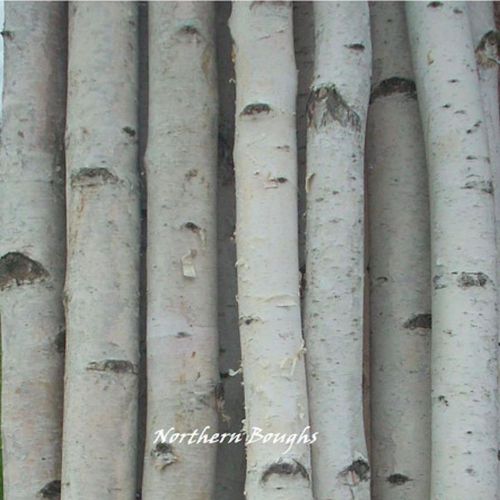 20 Birch Poles 8&#039;