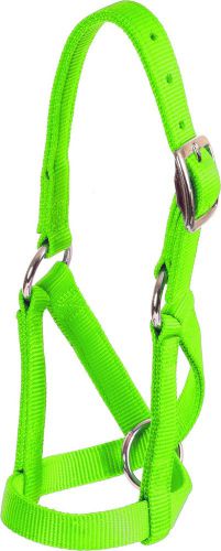 Mustang Brand Goat Halter Nylon Flat 3/4&#034; - Large - Lime