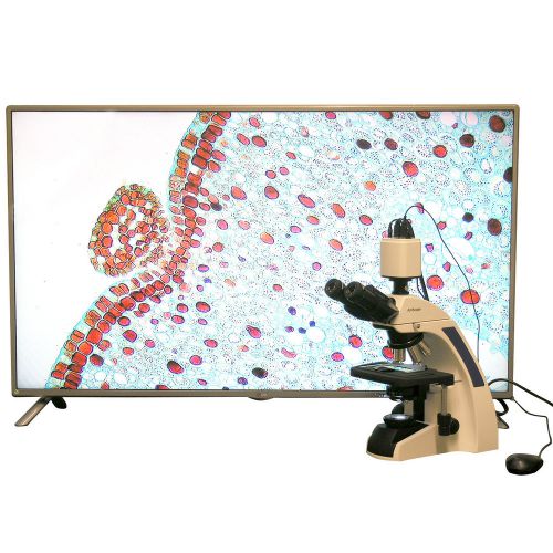 40x-1000x plan infinity kohler laboratory compound microscope w 1080 hdmi camera for sale