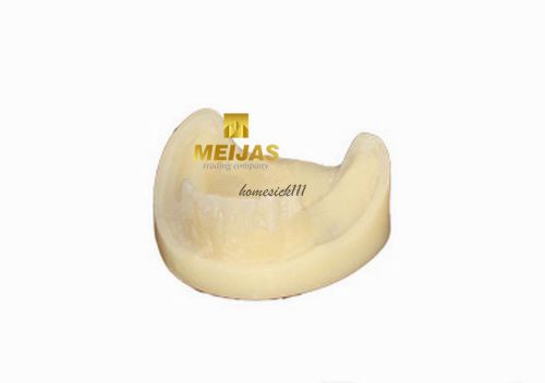 XINGXING Dental Model Lower Jaw Implant Practice Model With Gingiva 2009b HO