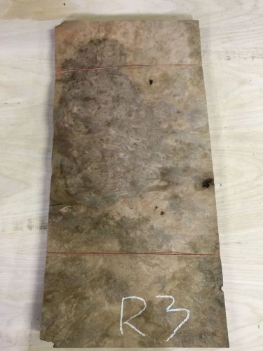 Wood veneer walnut burl 12x24 22 pieces total raw veneer &#034;exotic&#034; r3.rick for sale