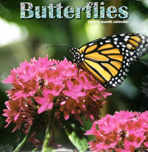 Butterflies - 2015 12 Month Wall Calendar - NEW 2015