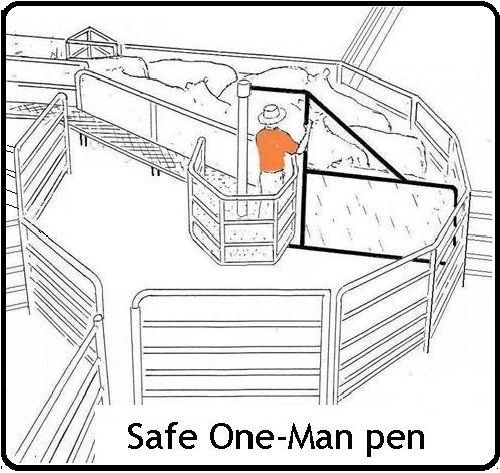 The latest plans and ideas for low labor, low cost cattle corrals -120 diagrams for sale