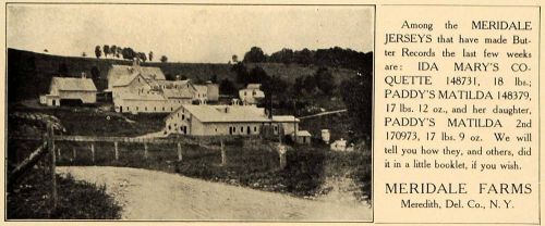 1906 Ad Photograph Meridale Farms Jersey Cows Cattle - ORIGINAL ADVERTISING CL9