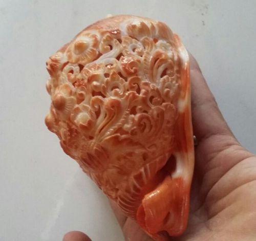 Carved sea shell balines decorative hand carved c rufa red helmet cameo shell for sale