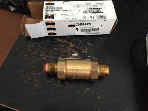 AG15504 1/2MPTx5/8FL PRESSURE RELIEF VALVE