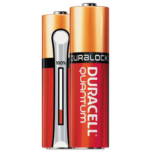 Quantum Alkaline Batteries with Duralock Power Preserve Technology, AA, 144/Ct