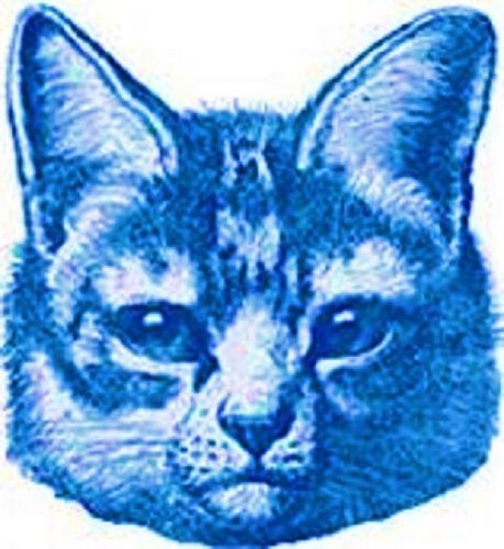 30 Custom Vintage Blue Cat Personalized Address Labels