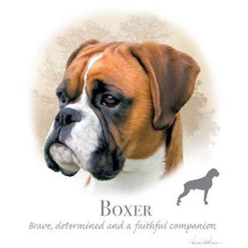 Boxer dog heat press transfer print for t shirt sweatshirt tote bag fabric #817f for sale