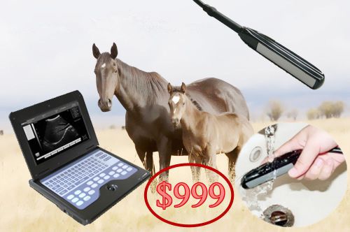 New Veterinary Ultrasound scanner Digital Disgnostic Portable machine, Low price