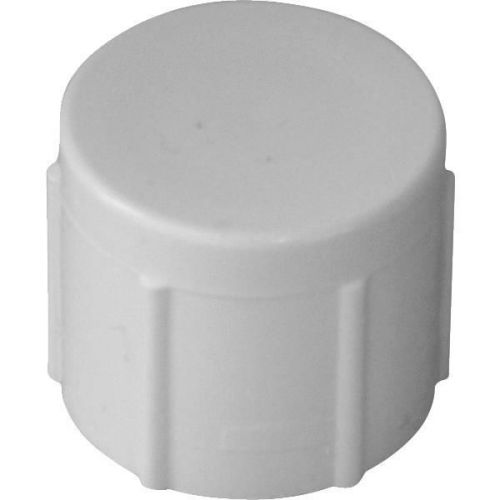 Genova 30166 pvc cap-4&#034; pvc sch40 fip cap for sale