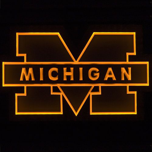 ZLD037 Decor University of MICHIGAN Wolverines Bar LED Energy-Saving Light Sign