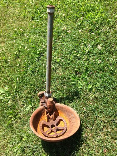 Antique Livestock Waterer (Unico)