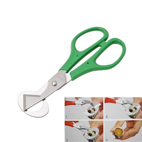 QUAIL EGG SCISSORS