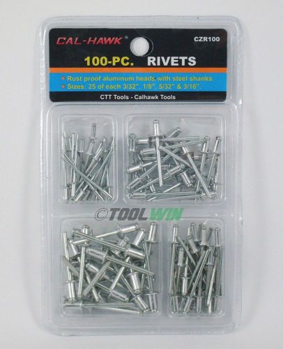 100 pc Pop Rivet Assorted Set 3/32&#034; 1/8&#034; 5/32&#034; 3/16&#034; 25 of Each Size