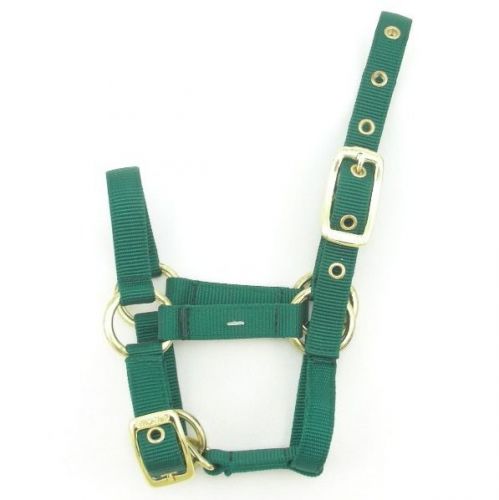 Valhoma premium 3/4&#034; dt nylon llama halter with adjustable chin, hunter green for sale