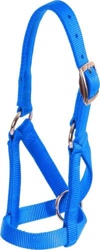 Mustang Brand Goat Halter Nylon Flat 3/4&#034; - Large - Blue