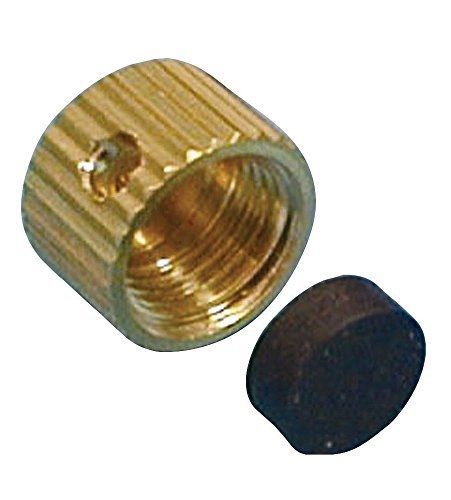 PROLINE Proline 888-352 Drain Cap for S &amp; W Valve