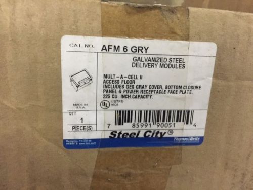 Thomas &amp; Betts Steel City AFM-6-GRY Galv Steel Floor Insert (NEW)