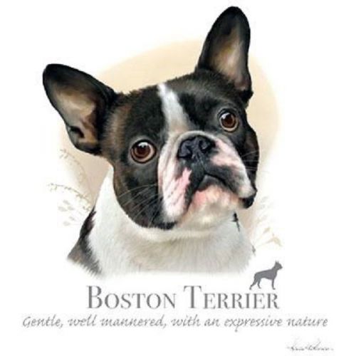 Boston terrier dog heat press transfer print for t shirt sweatshirt fabric #814j for sale