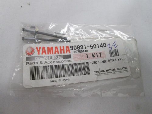 Nos yamaha 90891-50140 00 hinge rivet kit for sale