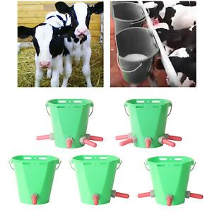 8L Farm Milk Feed Bucket with Nipples for Cattle Horses Sheep Lamb Dog